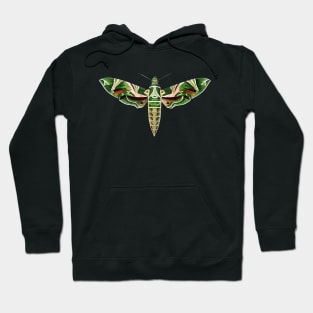 Oleander hawk moth Hoodie